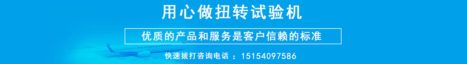 用心专业做扭转试验机
